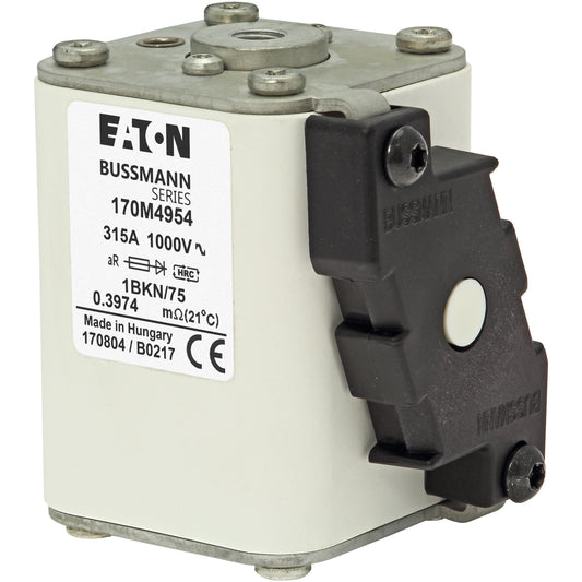 EATON 170M4954 315A 1000V Sicherungen (2 Stück)