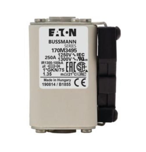 EATON 170M3495 250A 1250V Sicherungen (2 Stück)