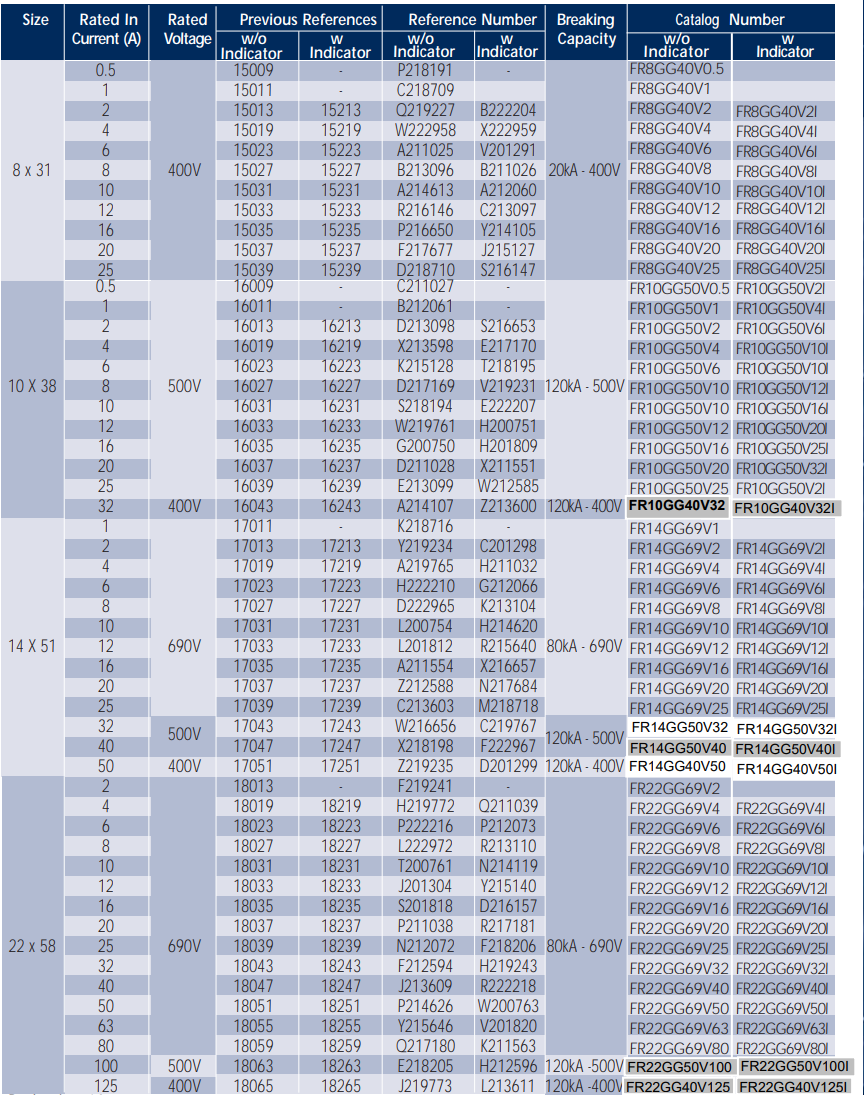 Mersen FR22GG69V4I Q211039 Sicherungen (5 Stück)