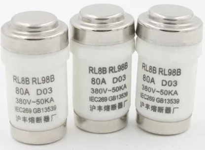 RL8B RL98B 100A 380V D03 Fuses (10 Pieces)