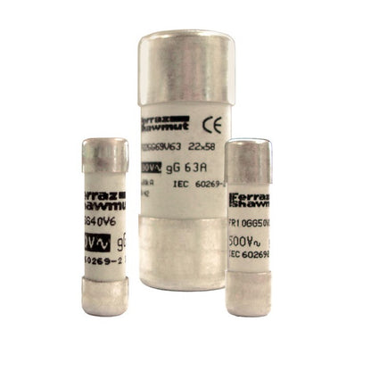 Merson FR22GG69V20P P222975 / FR22GG69V307 gG Fuses