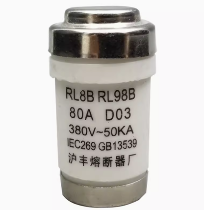 RL8B RL98B 100A 380V D03 Fuses (10 Pieces)