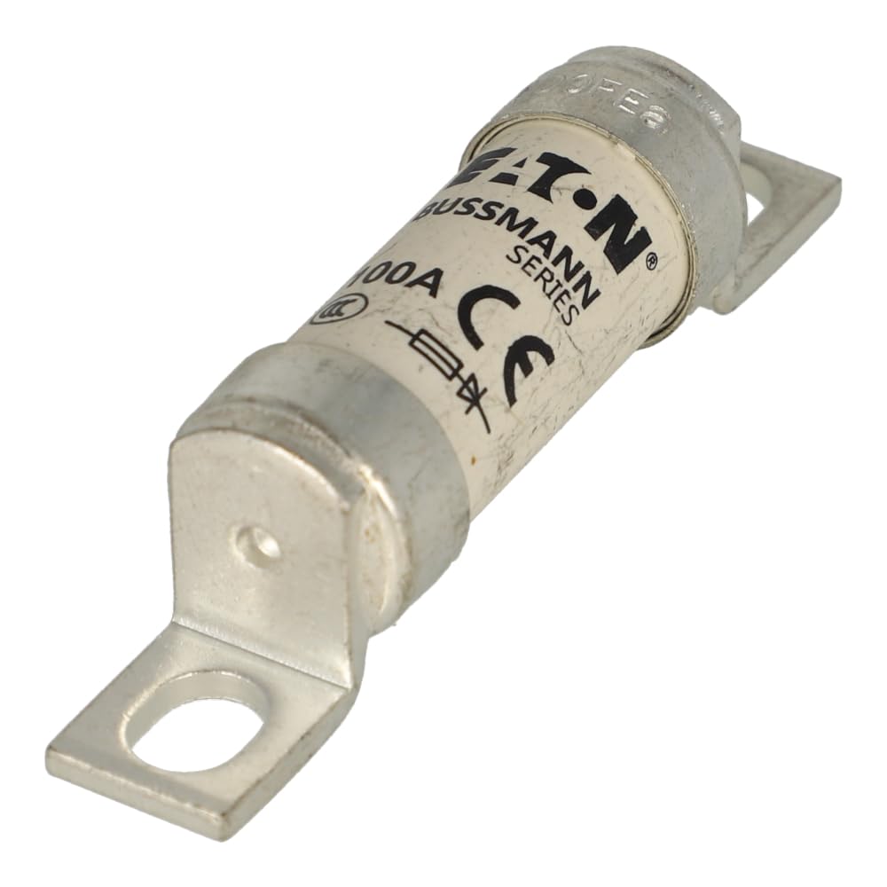 Bussmann 100FE Fuses (10 Pieces)