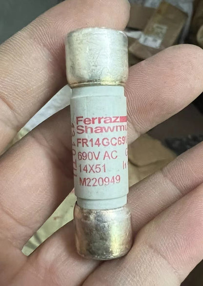 Mersen M220949 - FR14GC69V40T Fuses (10 Pieces)