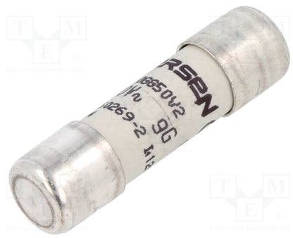 Schneider DF2CN02 2A 500Vac gG Fuses